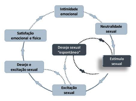 Ciclo da resposta sexual por Rosemary Basson